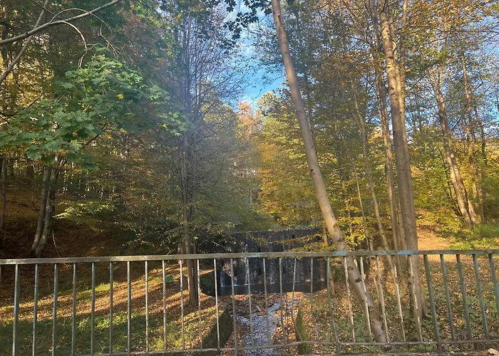 Przy Rownicy أوسترون